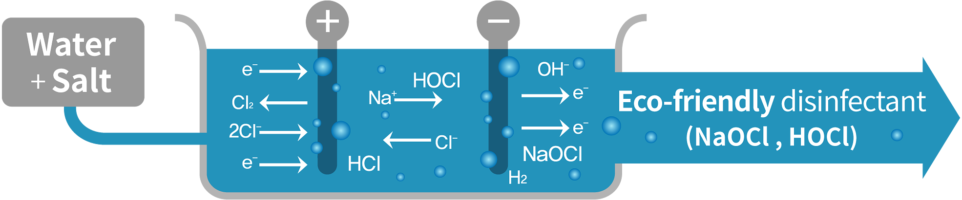 electrolyzed sterilizing water generator generative principle/natural all purpose cleaner.