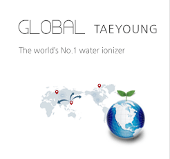 GLOBAL TAEYOUNG