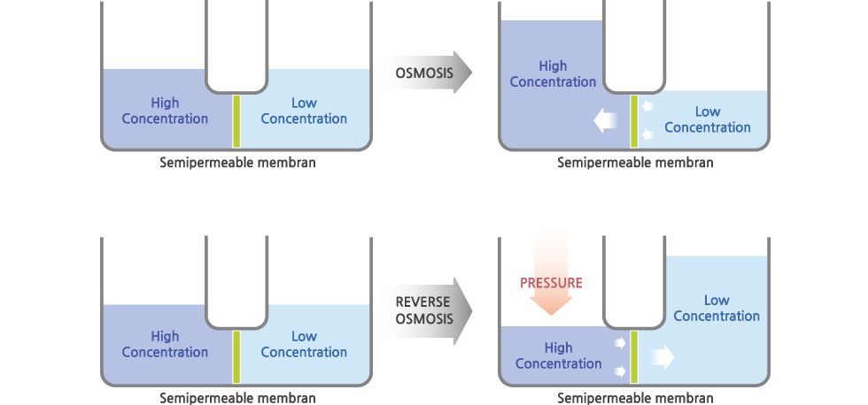 The generative principle