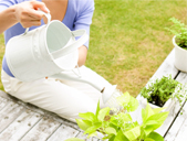 Watering Plants